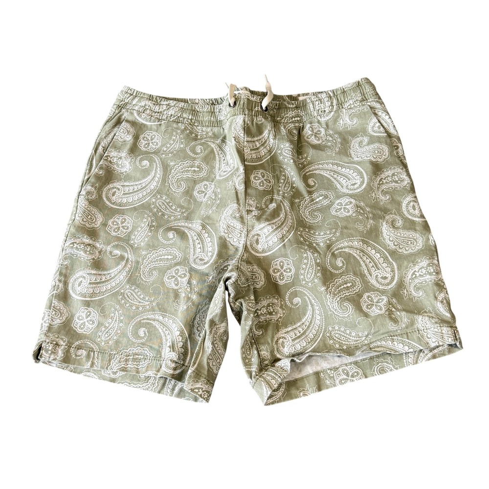 PacSun Mens Volley Shorts Medium Sage Green Paisley Print Elastic Waist Casual